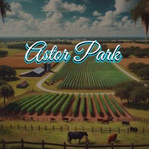 View of Astor Park, FL