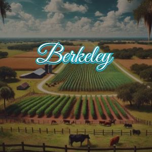 View of Berkeley, FL