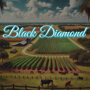 View of Black Diamond, FL