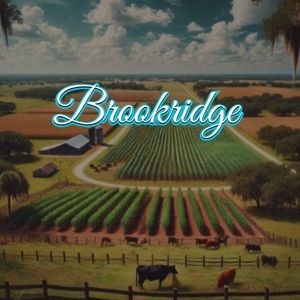 View of Brookridge, FL