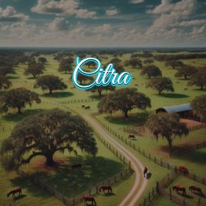 View of Citrus Hills, FL