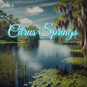 View of Citrus Springs, FL