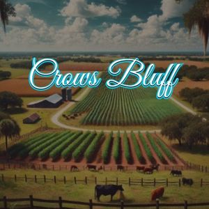 View of Crows Bluff, FL