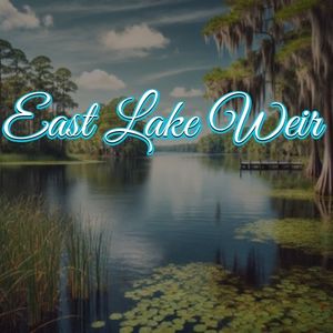 View of East Lake Weir, FL