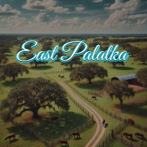 View of East Palatka, FL