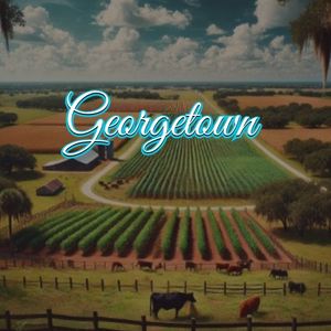 View of Georgetown, FL