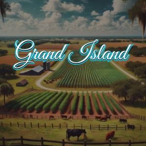 View of Grand Island, FL