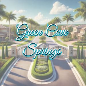 View of Green Cove Springs, FL