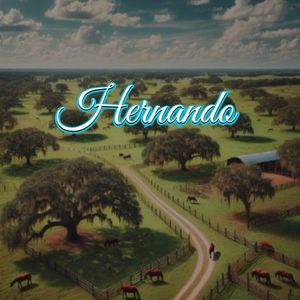 View of Hernando, FL