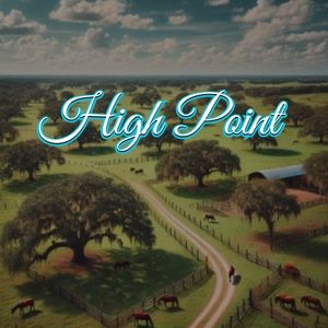 View of High Point, FL