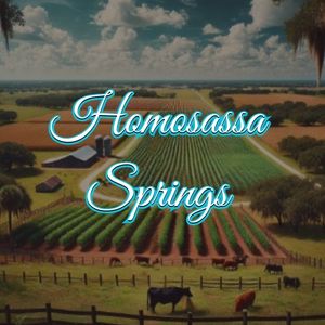 View of Homosassa Springs, FL