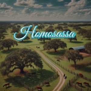 View of Homosassa, FL