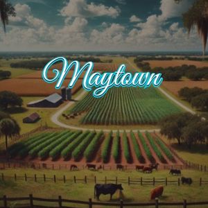 View of Maytown, FL