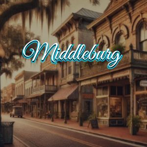 View of Middleburg, FL