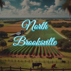 View of Brooksville, FL
