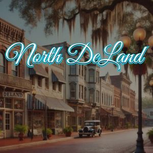 View of North DeLand, FL