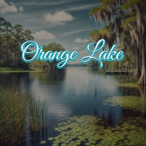 View of Orange Lake, FL