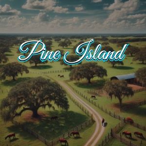 View of Pine Island, FL