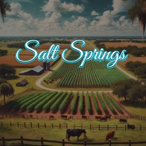 View of Salt Springs, FL