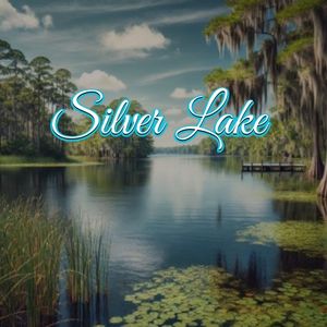 View of Silver Lake, FL