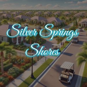 View of Silver Springs Shores, FL