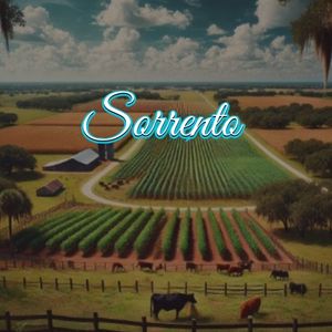 View of Sorrento, FL