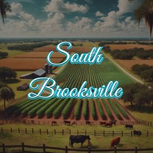 View of South Brooksville, FL