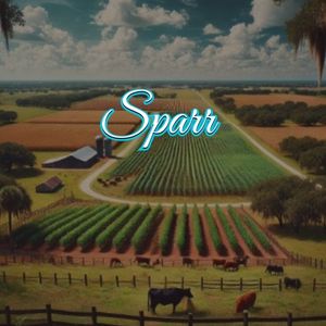 View of Sparr, FL
