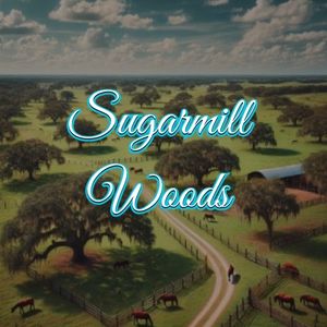 View of Sugarmill Woods, FL