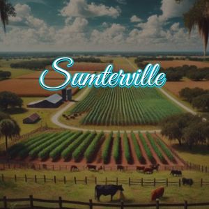 View of Sumterville, FL