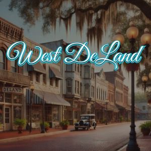 View of West DeLand, FL