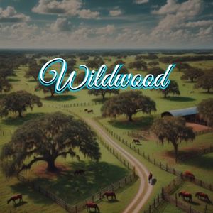 View of Wildwood, FL