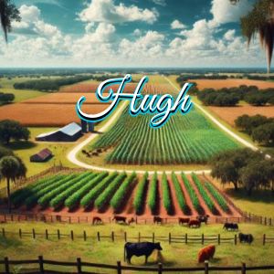 Hugh Florida Security System Installation