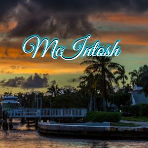View of McIntosh, FL