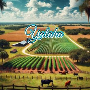 Yalaha Florida Security System Installation